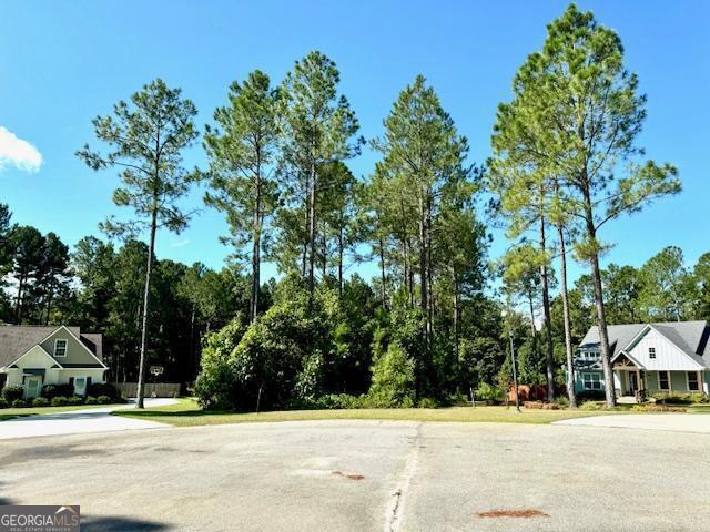 Statesboro, Georgia 30458, United States, ,Land,Pending,46085