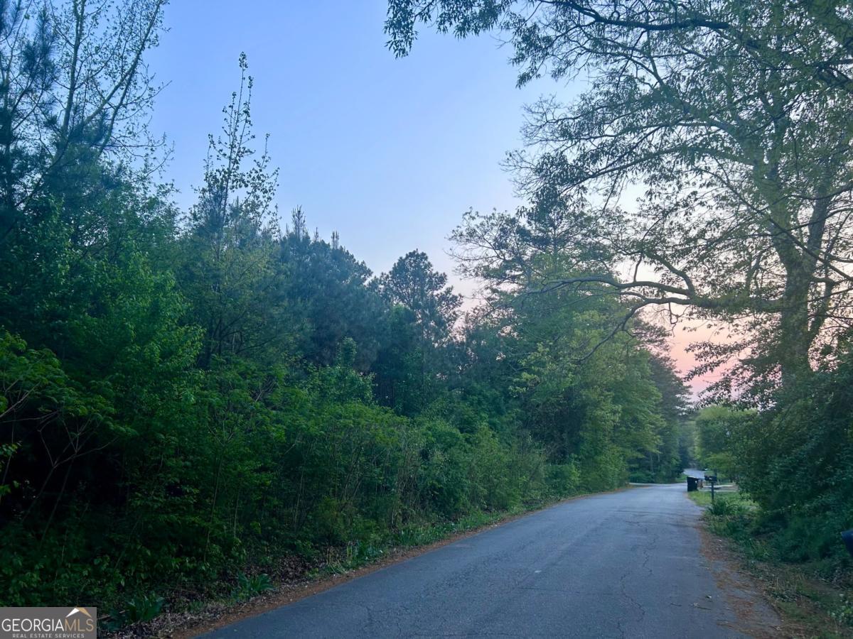 113 Old Alabama Wagon RD
