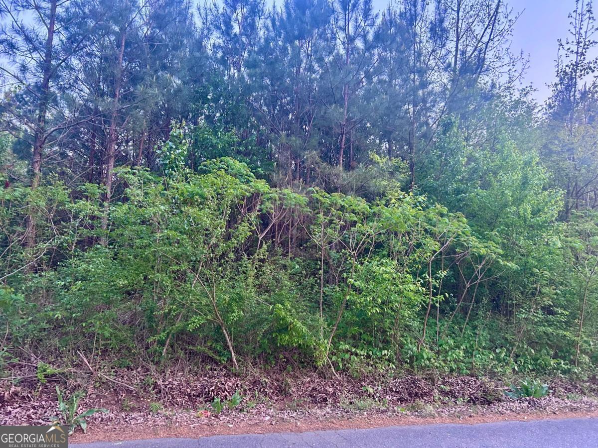 113 Old Alabama Wagon RD