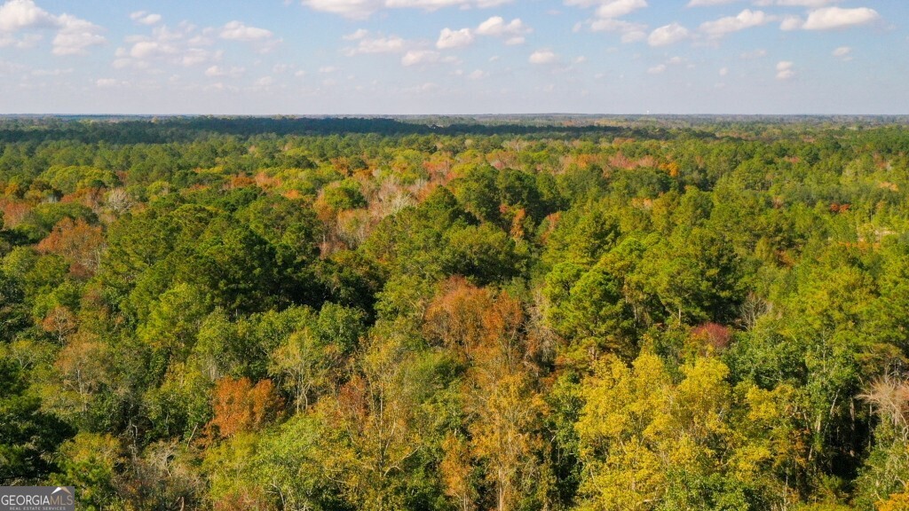 0 Twin Forks Rd/Martin RD TRACT 2