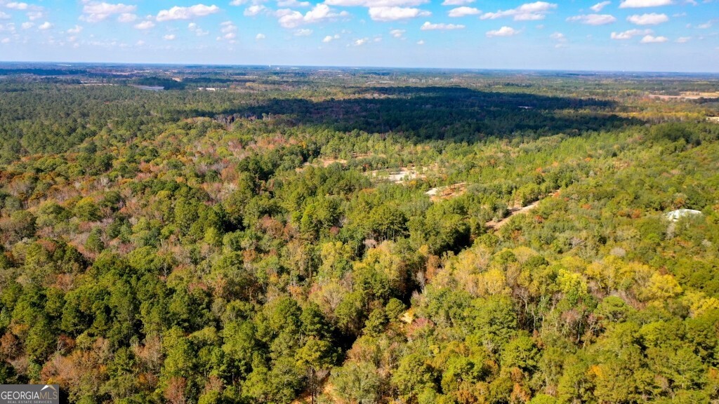 0 Twin Forks Rd/Martin RD TRACT 2