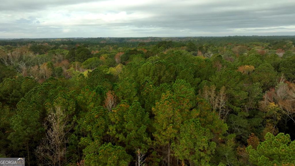 Photo of 0 Twin Forks Rd/Martin Road #TRACT 2, Statesboro, GA 30458 (MLS # 10700105)
