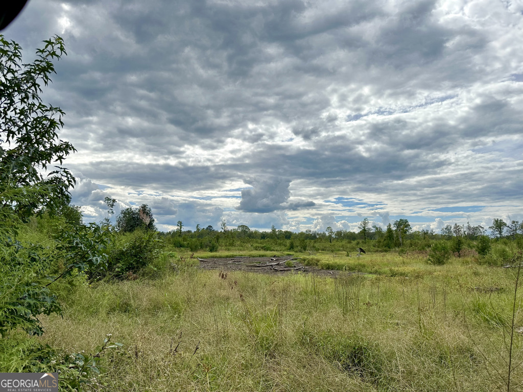 This exceptionally diverse property presents an outstanding opportunity for both recreational use and investment potential. Located with prime access from major US Hwy 319, it is set up to offer a wide variety of outdoor activities, including upland bird, deer, turkey, hog, and even waterfowl hunting. Whether you are an avid hunter, nature enthusiast, or simply seeking a peaceful retreat, this property has everything you need. The land features a perfect mix of level and gently rolling terrain, covered by a rich variety of natural hardwoods, planted pines, and natural regeneration. This combination provides an inviting environment for wildlife while creating a beautiful and thriving landscape. In addition to its recreational appeal, the property also holds significant investment potential. The land fronts a major highway, providing excellent access and visibility, with the possibility of being subdivided into smaller parcels for future development. Over one mile of well-maintained interior roads run through the property, ensuring easy access to nearly every acre, which makes managing and navigating the land a convenient and efficient process. This layout not only enhances accessibility but also adds to the overall value and usability of the property. This tract is ideally located just minutes from Wrightsville and Dublin, Georgia, offering the best of both worlds: a peaceful, private setting with quick access to nearby towns. The location makes it an ideal spot for those looking to enjoy outdoor activities while still being close to local amenities and services. Whether you are looking for a prime hunting property, a recreational escape, or a piece of land with strong investment potential for future subdivision, this property is ready for new ownership. The versatility of this land makes it an excellent choice for anyone seeking a diverse property that can be used for both personal enjoyment and as a smart investment. Don't miss out on the chance to own this remarkable property, which is well-suited for a variety of uses.