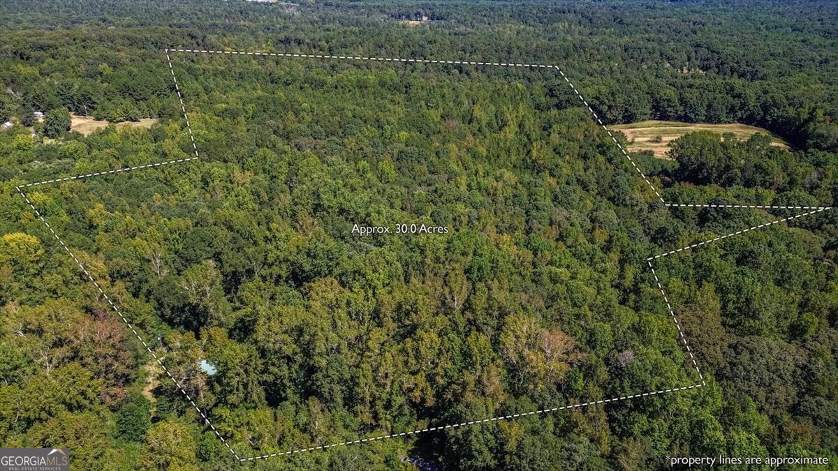Discover this 30 beautiful wooded acres in the heart of Madison County. This rare property offers endless possibilities for those seeking privacy, recreation, or a future homesite. Towering hardwoods, mature pines, and natural wildlife habitats create a peaceful retreat, while Lamar Creek touches along one border, adding both beauty and character to the land. Whether you're looking for a private estate, hunting land, or a place to enjoy the outdoors, this tract provides the ideal balance of seclusion and convenience. Located just minutes from downtown Ila, award-winning schools, and everyday amenities, with easy access to Athens and I-85, this property combines country living with modern convenience. Don't miss this chance to own a large, picturesque piece of Madison County-perfect for building your dream home, enjoying nature, or holding as an investment.