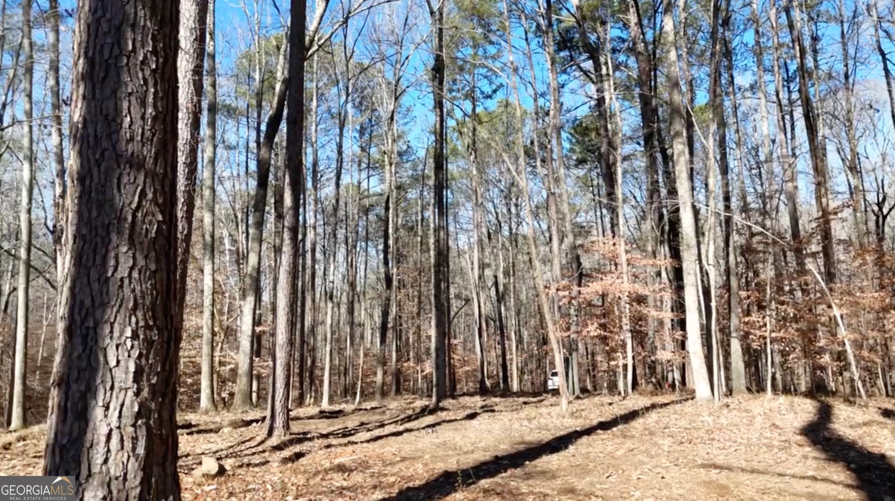 6137 Little Ridge Road Unit LOT #3