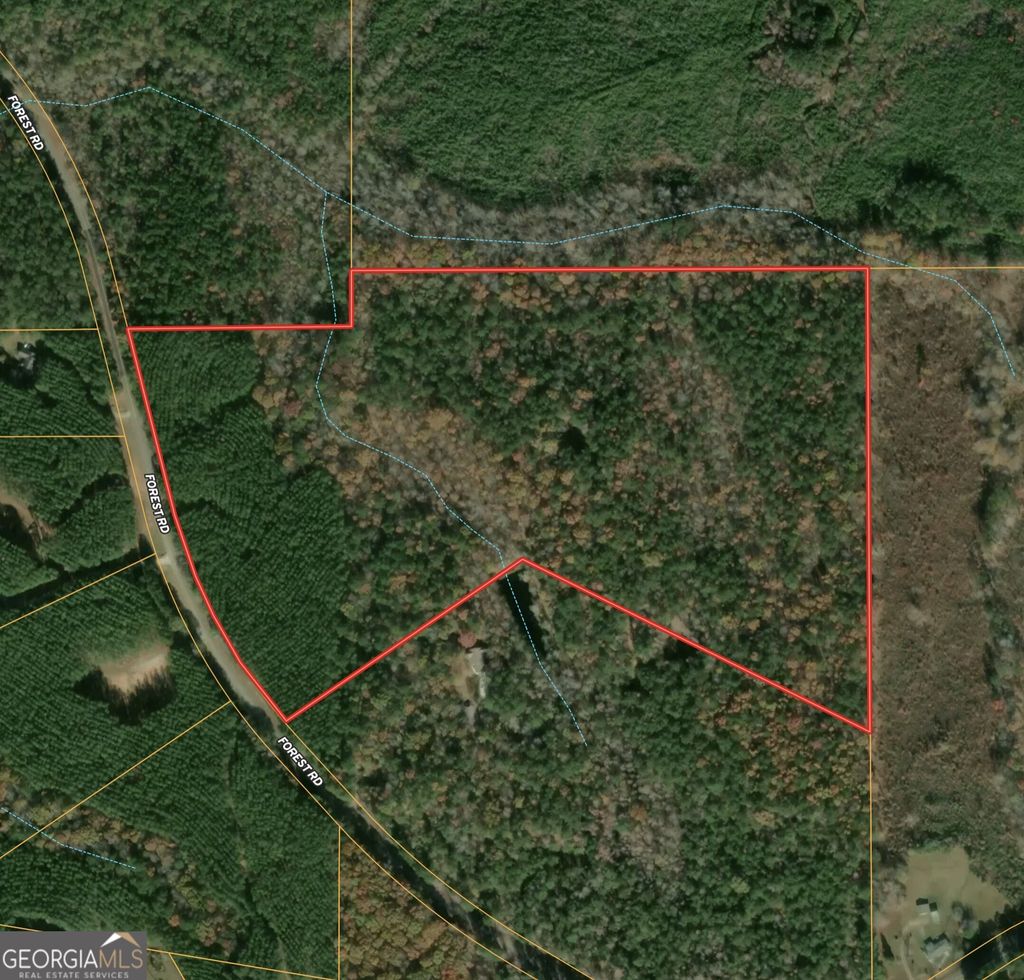 Photo of 0 Forrest Road, Hogansville, GA 30230 (MLS # 10679825)