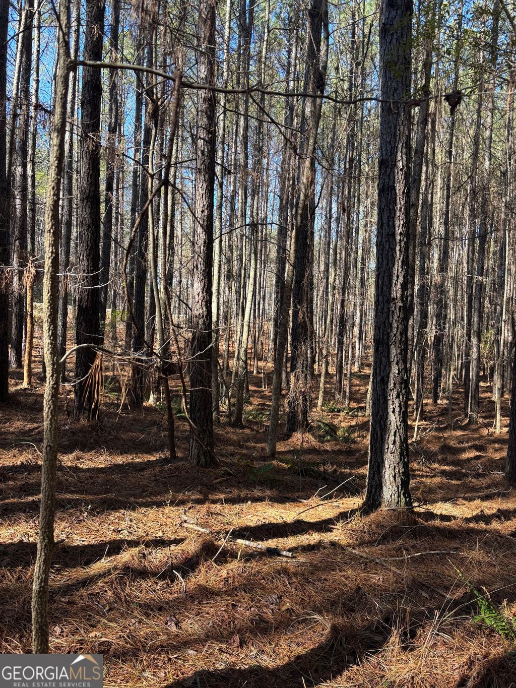 Photo of 0 Forrest Road, Hogansville, GA 30230 (MLS # 10679825)