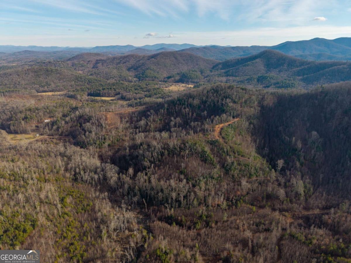 156+ Higdon Creek RD