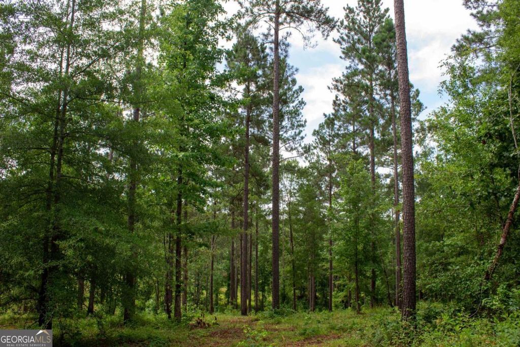 Photo of 139 Overlook Drive, Eatonton, GA 31024 (MLS # 10725395)