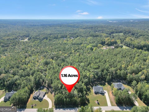 Photo of 60 Hawthorn Lane, Covington, GA 30014 (MLS # 10868431)
