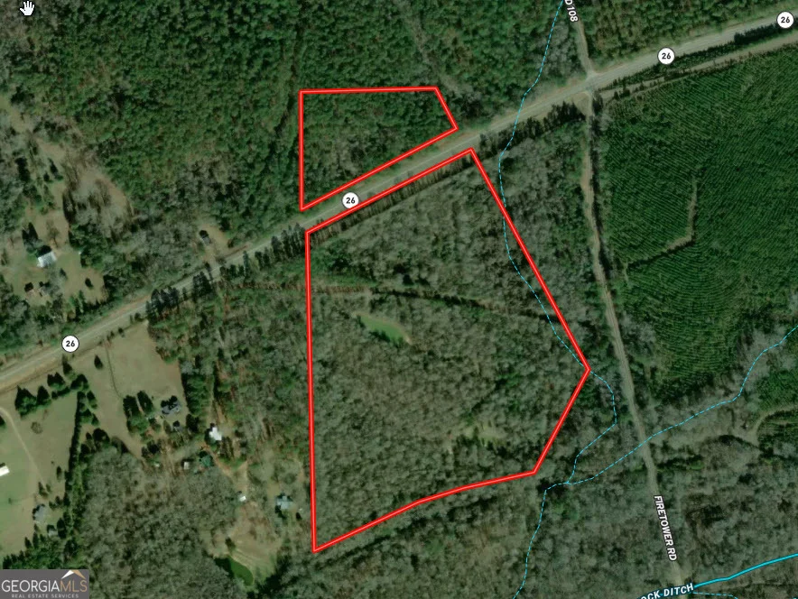 31+/- AC Highway 26, Buena Vista, GA, 31803