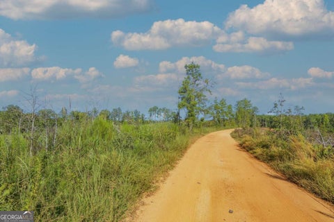 Photo for TRACT 7 Carlisle Gap RD