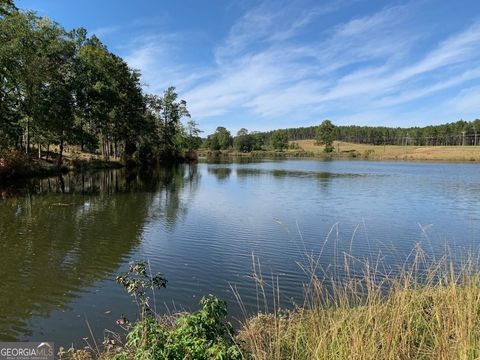 Agriculture in Washington GA 3032 Thomson Road.jpg