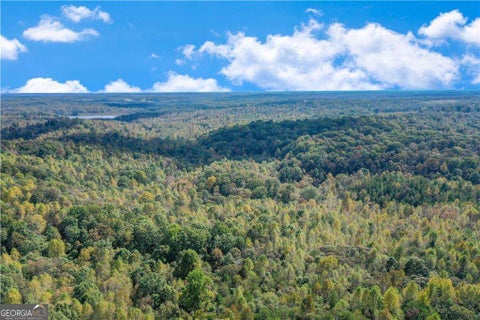Photo of 55 Sweetwater, Lula, GA 30554 (MLS # 10762522)