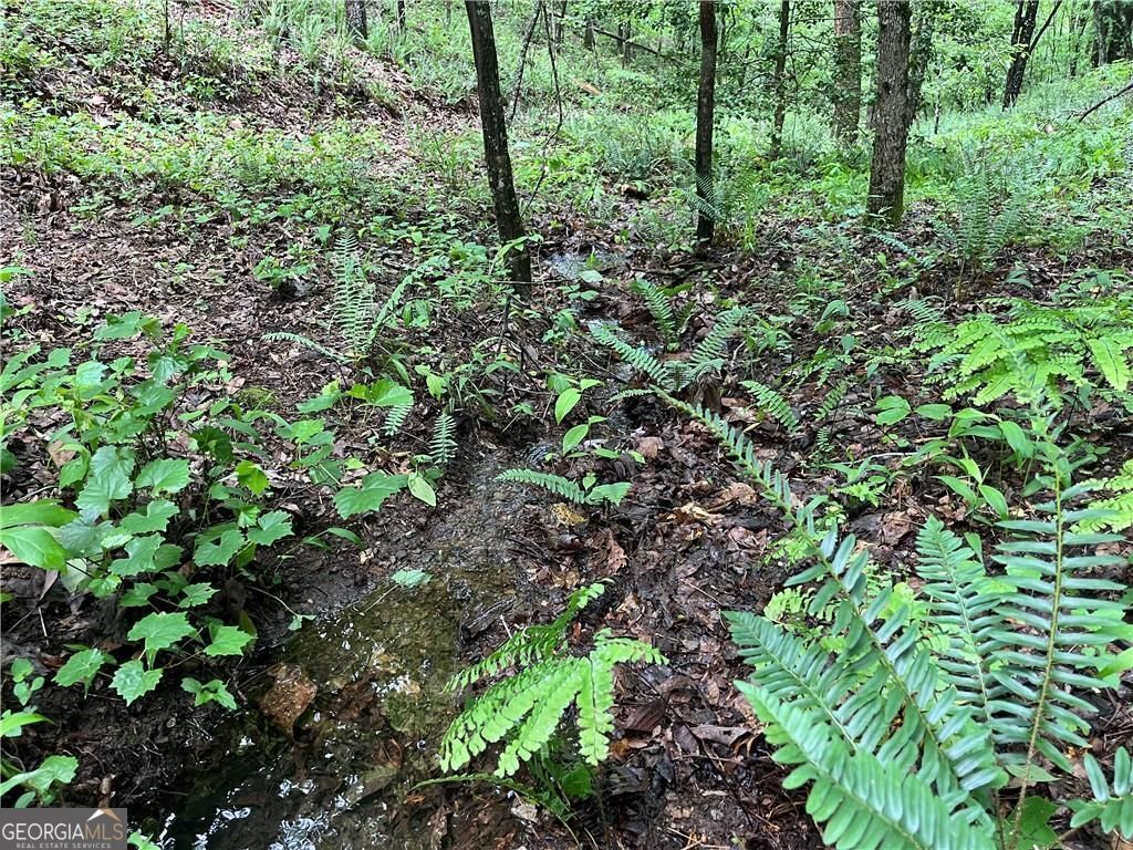 Photo of 1720 Rebekah Ridge Road, Talking Rock, GA 30175 (MLS # 10741002)