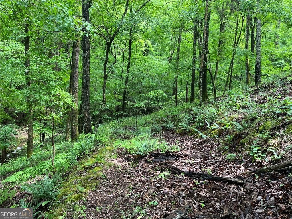 1720 Rebekah Ridge RD