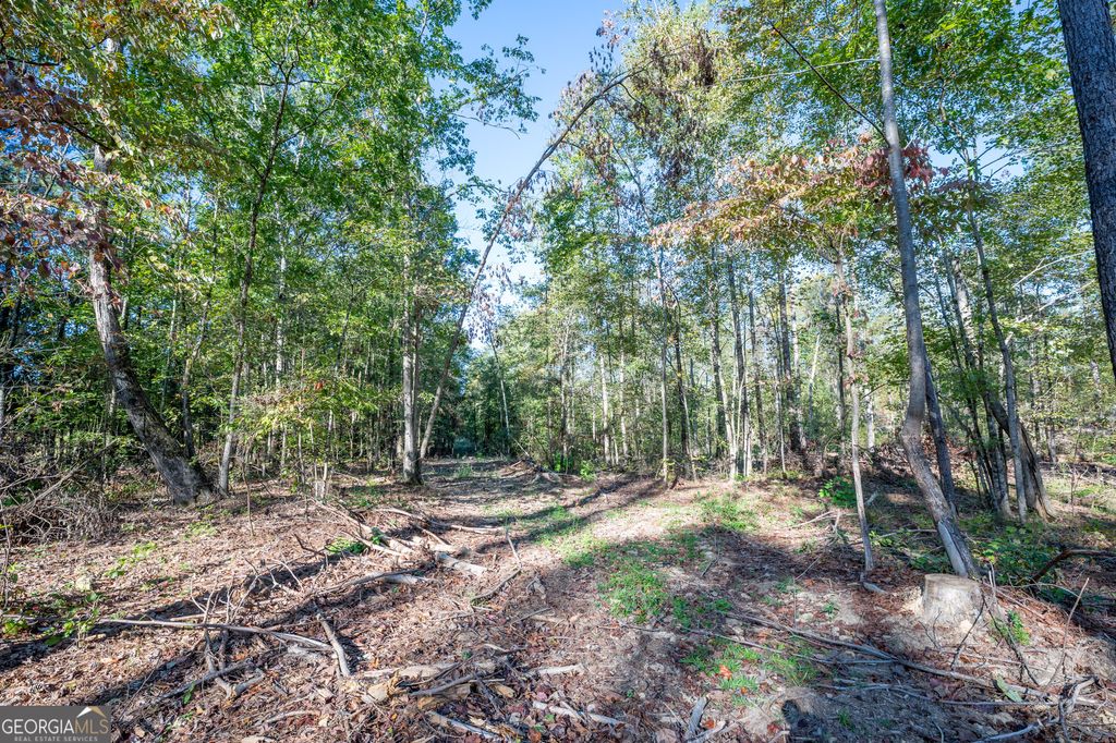 Photo of 3859 HWY 140 NE, Rydal, GA 30171 (MLS # 10632088)