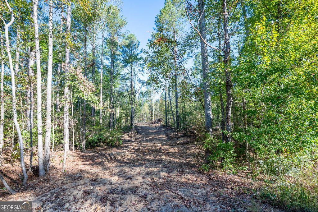 Photo of 3859 HWY 140 NE, Rydal, GA 30171 (MLS # 10632088)