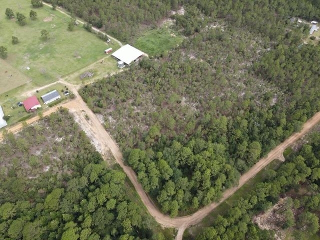 5 Beautiful High and Dry Multipurpose Acres on Buckhorn Trail, Emanuel County GA - Great Location and Possibilities - Property Located Conveniently to Interstate 16 which is just 3.5 Miles Away - Beautiful Property for a Homestead -