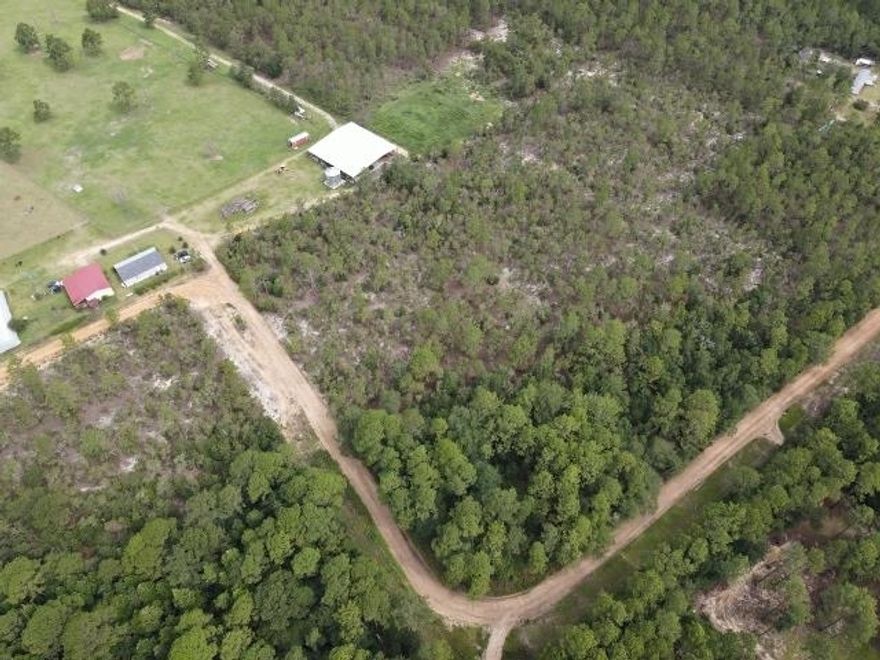 5 Beautiful High and Dry Multipurpose Acres on Buckhorn Trail, Emanuel County GA - Great Location and Possibilities - Property Located Conveniently to Interstate 16 which is just 3.5 Miles Away - Beautiful Property for a Homestead -