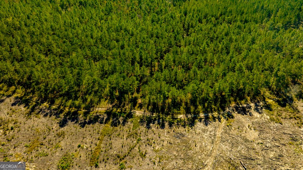 Photo of O Bay Branch Road, Claxton, GA 30417 (MLS # 10680651)