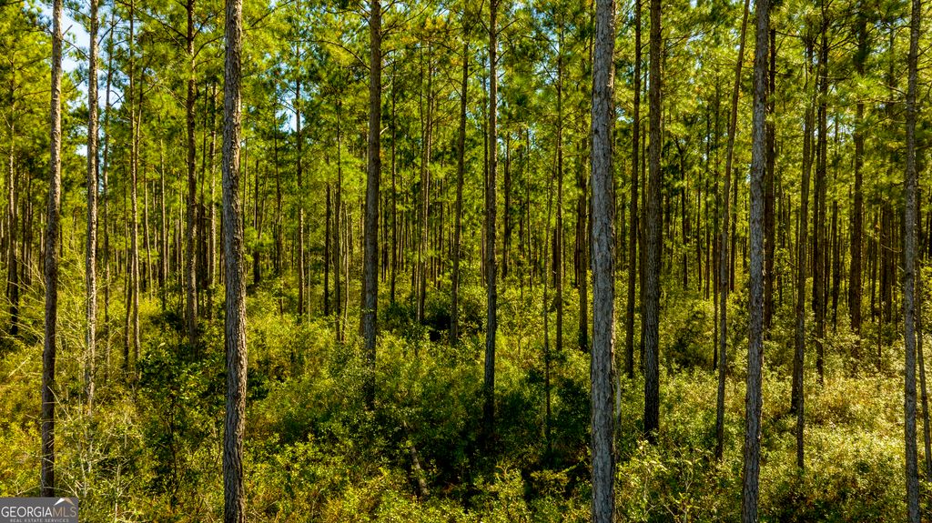 Photo of O Bay Branch Road, Claxton, GA 30417 (MLS # 10680651)