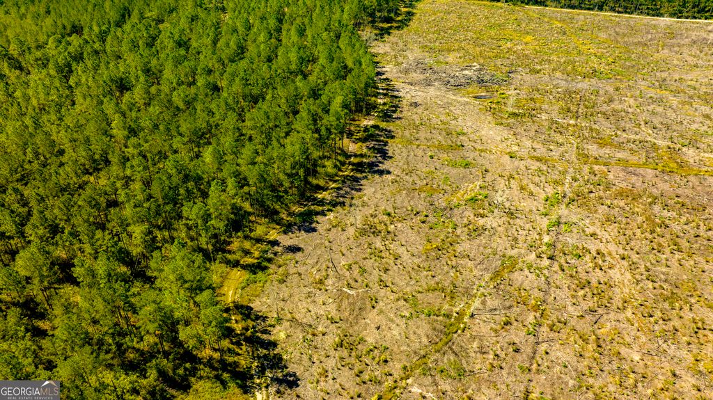 Photo of O Bay Branch Road, Claxton, GA 30417 (MLS # 10680651)