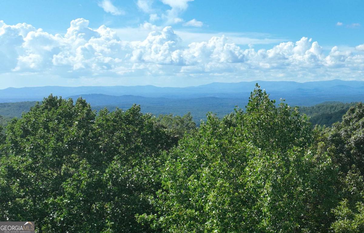 2.67 Acres with unobstructed Long Range Views and gentle land! This is a must see and has a well! LOTS of level and gentle walkable land at the front of this property for an easy driveway and lots of options for building spots. The back of this lot graduates to a steep slope that is needed for those long range views that can be unobstructed once your homesite is cleared. SO much privacy! Located deep in the subdivision this lot is on the culdesac of a low-traveled road, the shape of this lot fans out from the road allowing you to walk deep into it where you'll find it difficult to see any neighbors. You'll love the gated mountain community of Falling Waters with its picturesque fishing lake, pavallions, and memorable hiking path that meanders next to the crashing waters of Clear Creek. View photos are just above the treetop - walking on lot you will see the amazing views you can have. The terrain photos are approximation only using GPS. Electric, cable, phone, fiber optic internet, and a well already in-place! HOA, gated, all buyers must be with an agent.