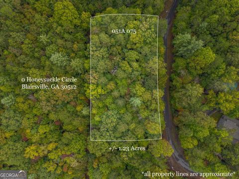 Photo of 19 Honeysuckle Circle, Blairsville, GA 30512 (MLS # 10622872)