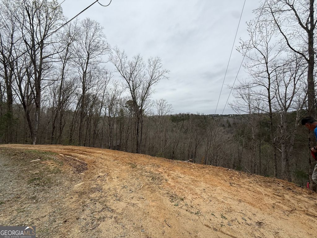 Photo of 135 Flat Ridge Road, Ellijay, GA 30540 (MLS # 10732059)
