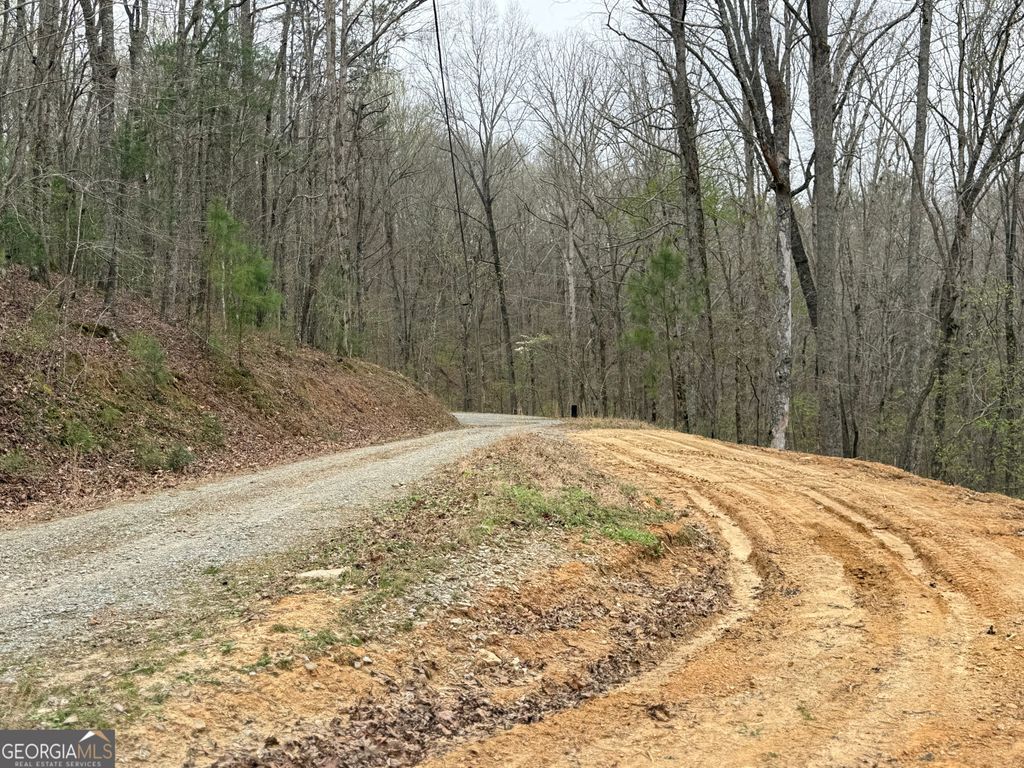 Photo of 135 Flat Ridge Road, Ellijay, GA 30540 (MLS # 10732059)