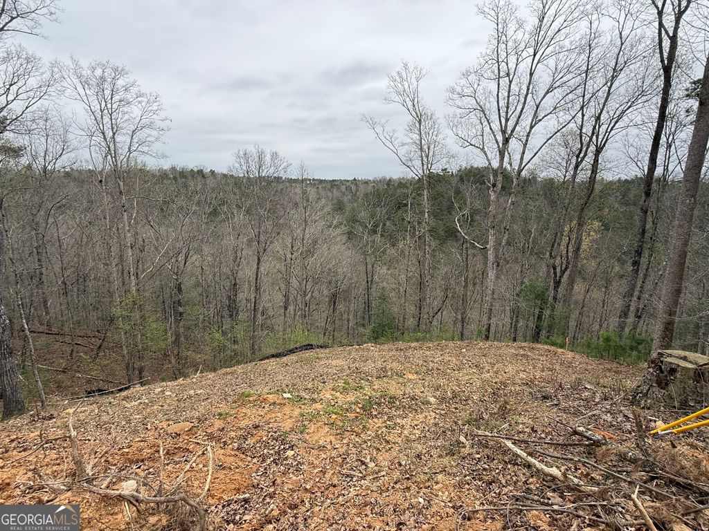 Photo of 135 Flat Ridge Road, Ellijay, GA 30540 (MLS # 10732059)