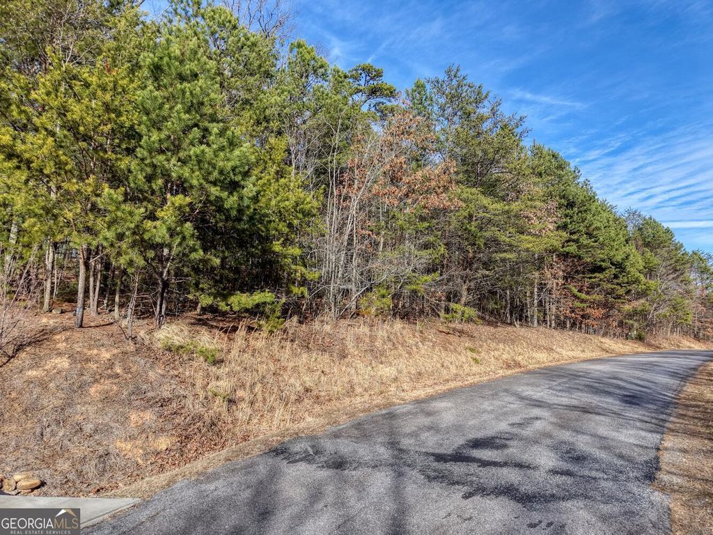Photo of 41 Hidden Fields Road, Hiawassee, GA 30546 (MLS # 10692001)