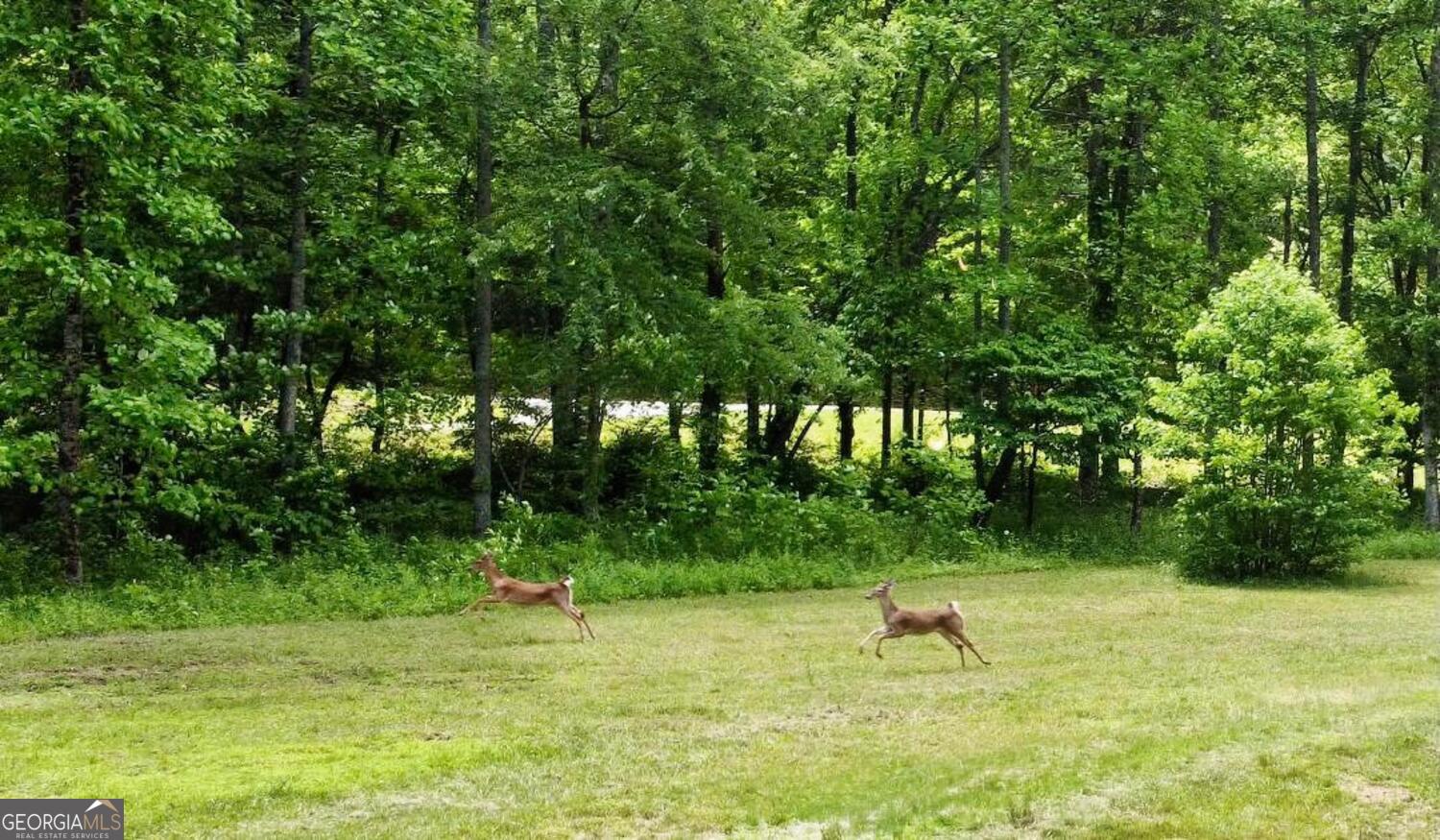 TRACT 1 Timber Ridge RD