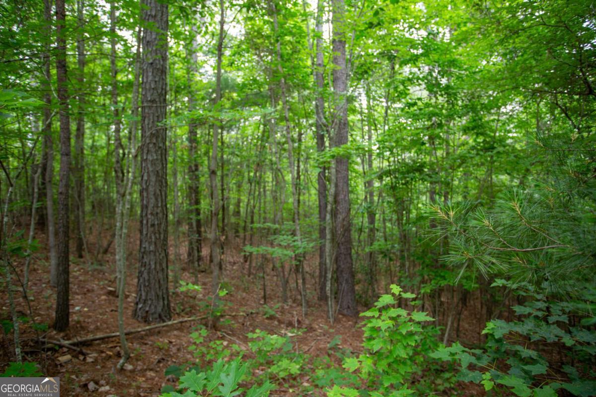 IT'S ALL ABOUT THE LAND-A Rare Opportunity in North Georgia! Don't miss this chance to own approximately 11+/- acres of picturesque countryside in beautiful Lumpkin County, ideally located directly across from the scenic Iron Mountain. This exceptional property combines natural beauty, usability, and location-making it perfect for a vacation getaway, family compound, dream home, or even a small farm or horse property. The land is predominantly level, uncleared and offers itself to a large variety of potential. Whether you envision a charming cabin retreat, a modern mountain home, or a quiet hobby farm, this versatile acreage can accommodate your vision. Surrounded by mountain views and peaceful woodlands, you'll enjoy the serenity and privacy of the North Georgia lifestyle while still being just a short drive to historic downtown Dahlonega, wineries, hiking trails, and more. Ideal for Nature enthusiasts! The property benefits from 5 years remaining in Conservation, offering tax advantages while preserving the natural character of the land. Whether you're envisioning a peaceful weekend getaway, a charming homestead, or a smart investment in North Georgia's growing landscape, this special property offers endless possibilities. Don't miss your chance to explore its beauty and potential-schedule your private showing today.. Appointments are required-this is where you can make your dreams come true!