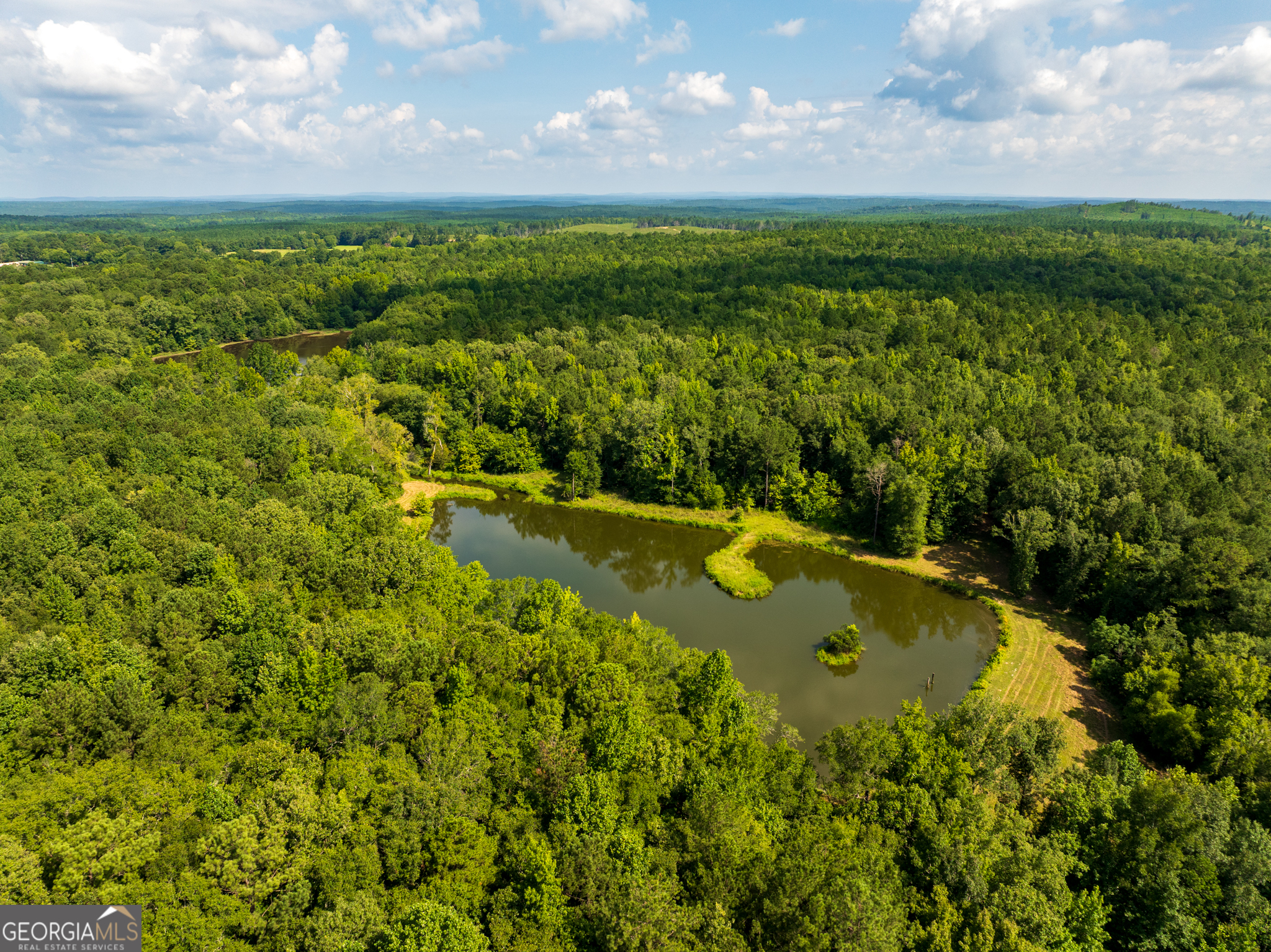110 ACRES Talbotton HWY