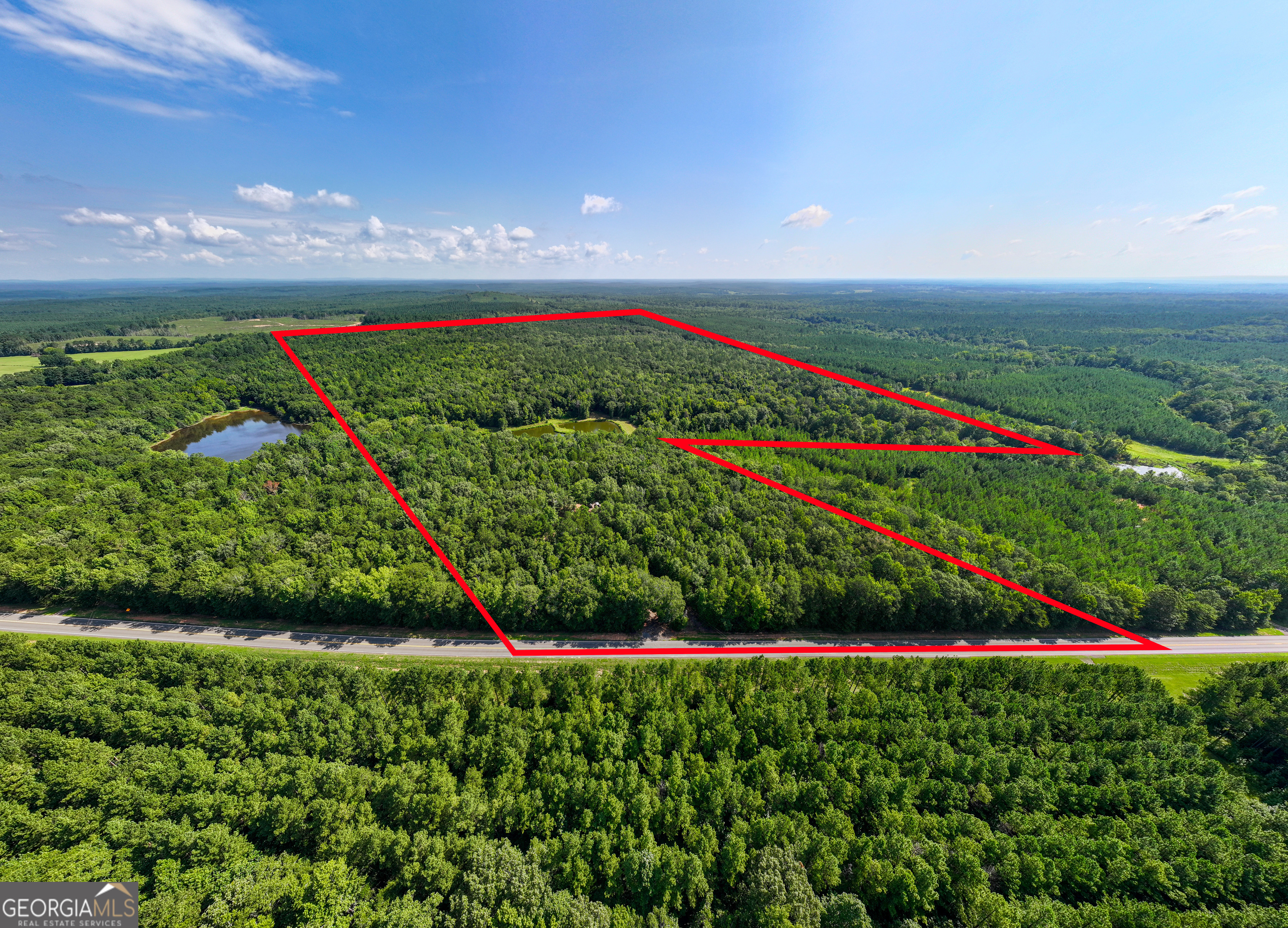 110 ACRES Talbotton HWY