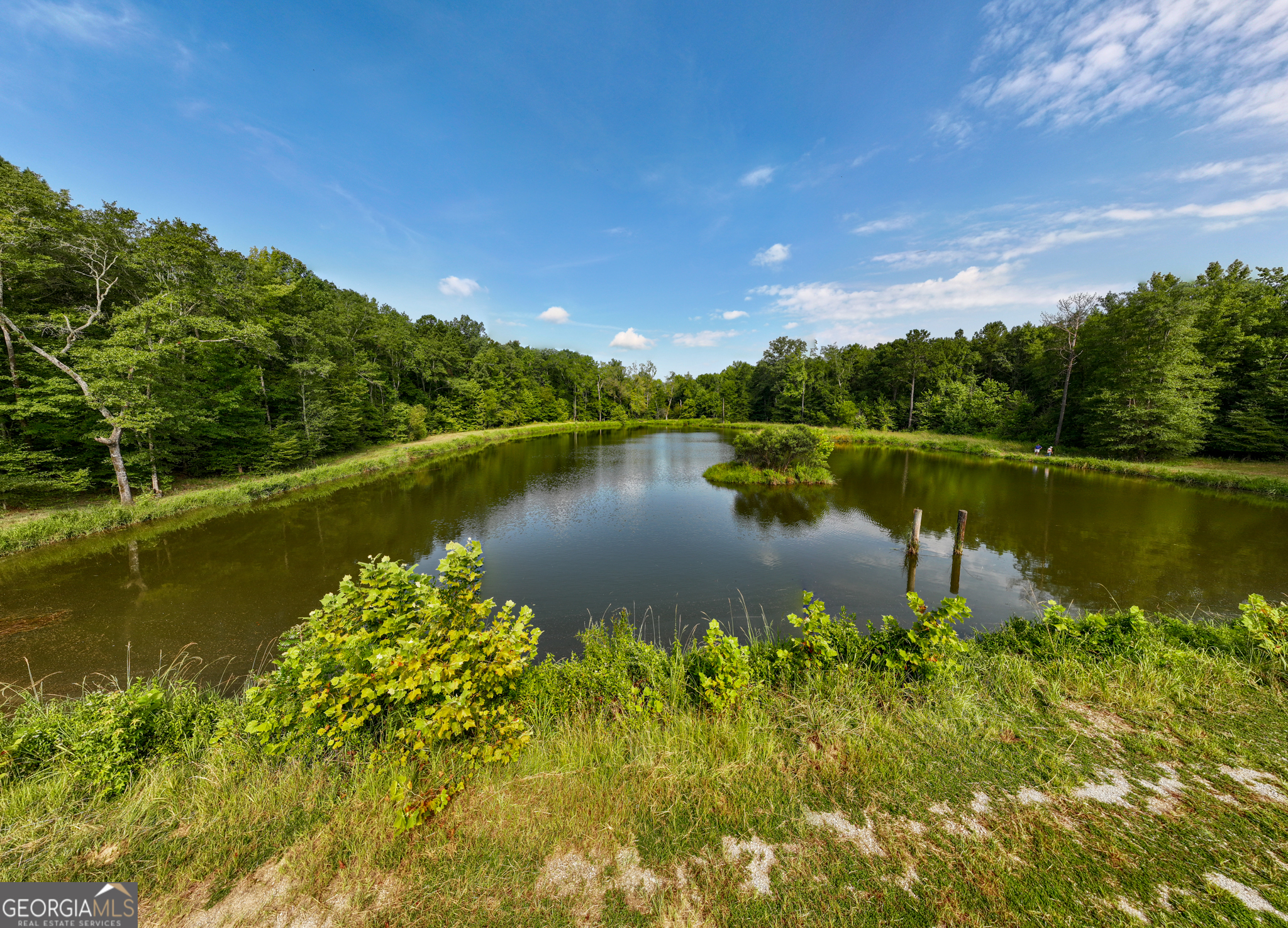 110 ACRES Talbotton HWY