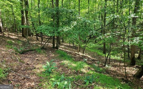 Photo of 838 Oneida Circle, Ellijay, GA 30540 (MLS # 10759710)