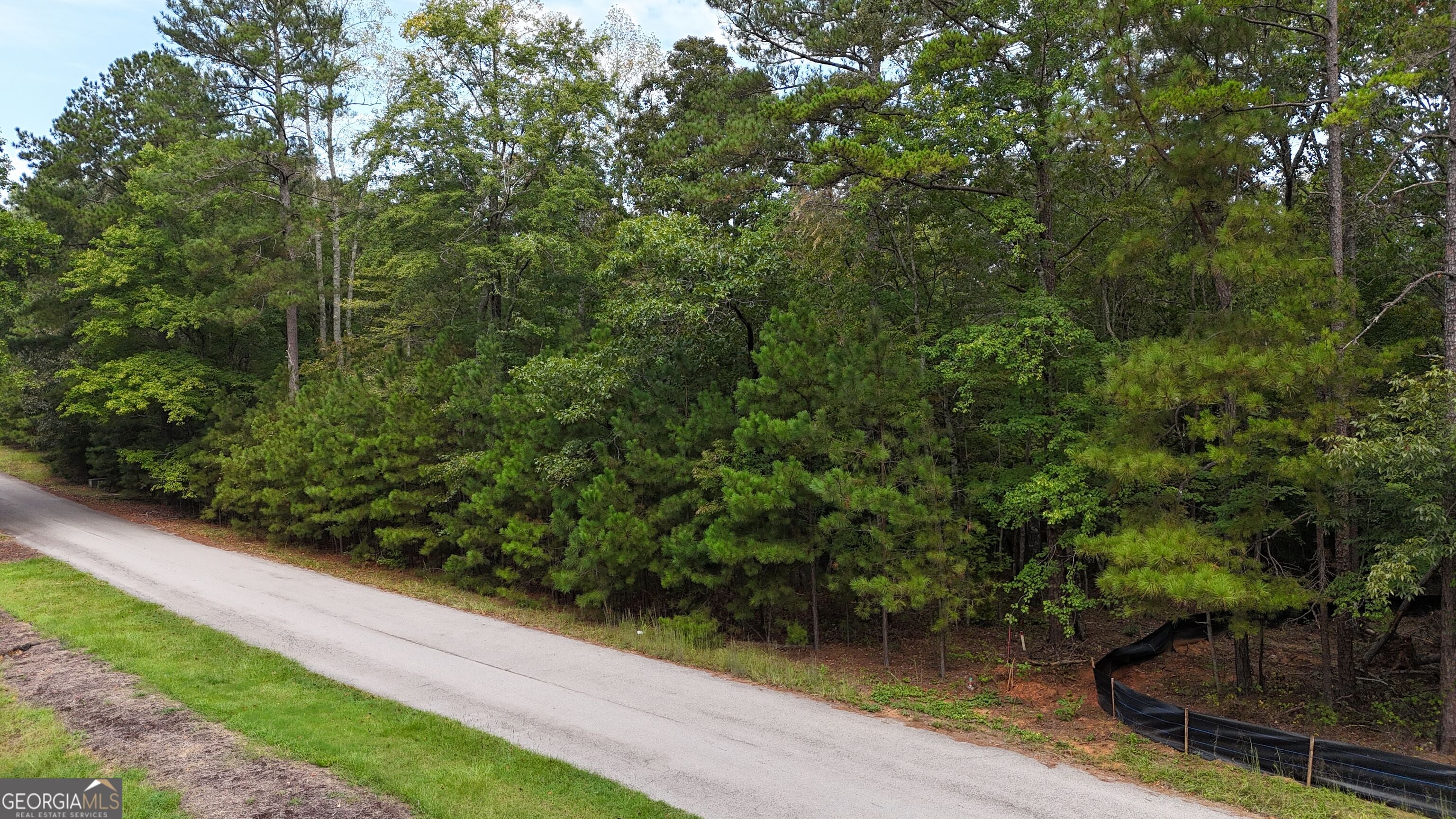 7230 Rand DR