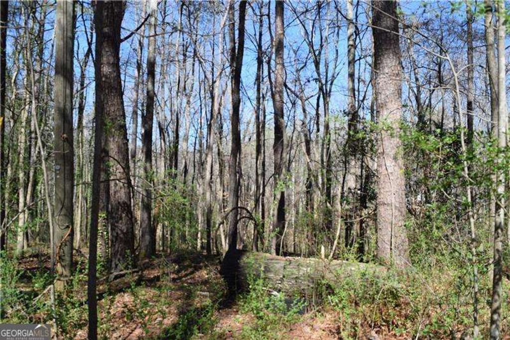 Photo of 5425 DAVIS Drive, Austell, GA 30106 (MLS # 10695727)