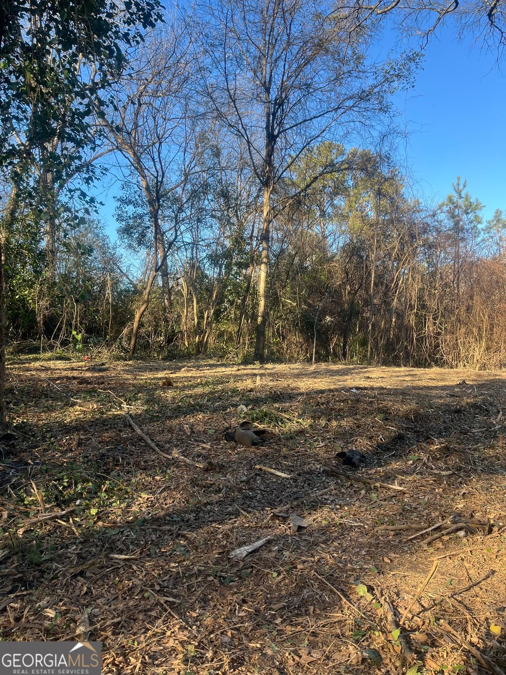Photo of 0 old griffin rd, McDonough, GA 30253 (MLS # 10687206)