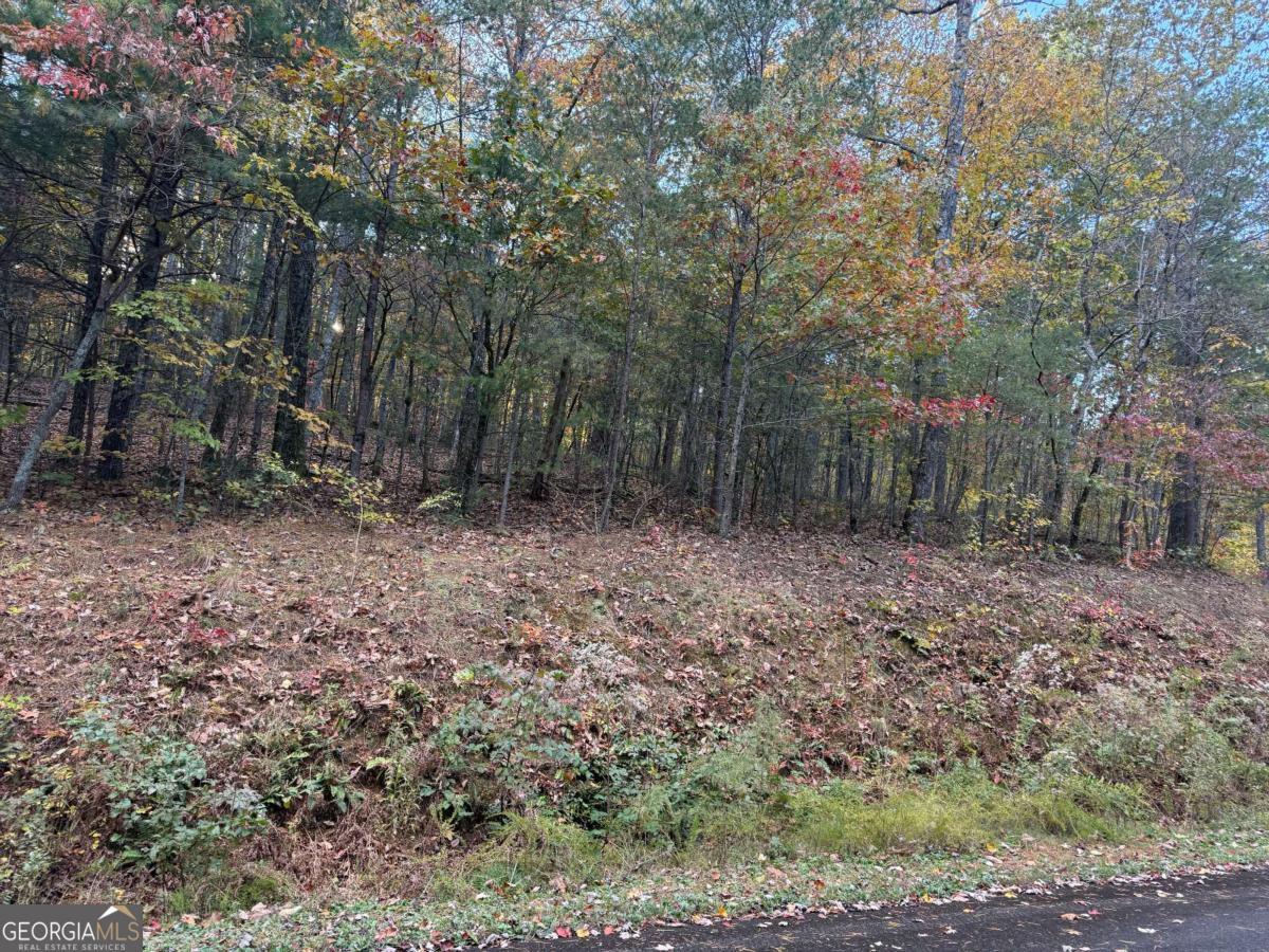 0 Black Bear Court CT