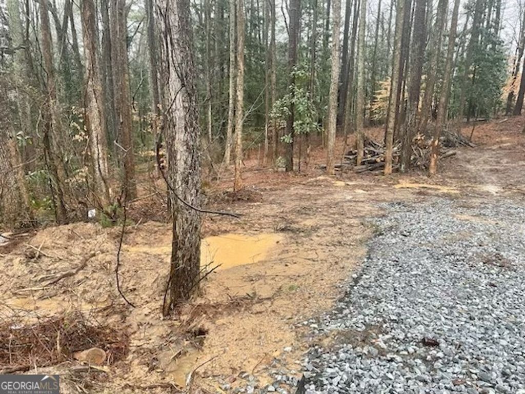 Photo of 3960 Union Road SW, South Fulton, GA 30349 (MLS # 10661610)