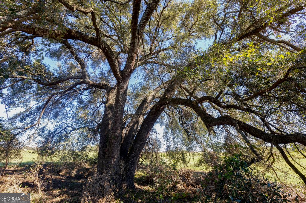 Photo of 0 Ralph Keen Rd, East Dublin, GA 31027 (MLS # 10677710)