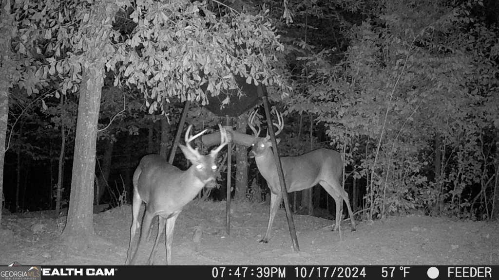 335 Highway 26