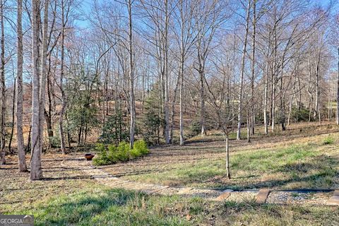 A home in Hiawassee