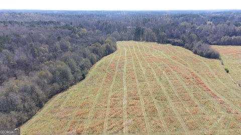 Photo of 0 Steele Road, Griffin, GA 30223 (MLS # 10822567)