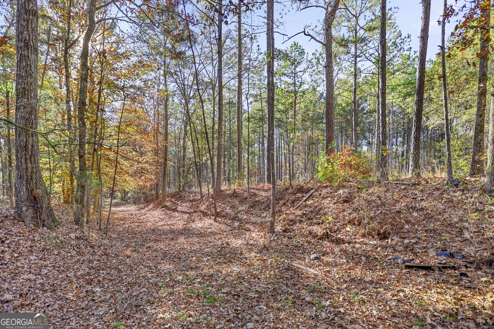 11.62+/- AC New Franklin RD