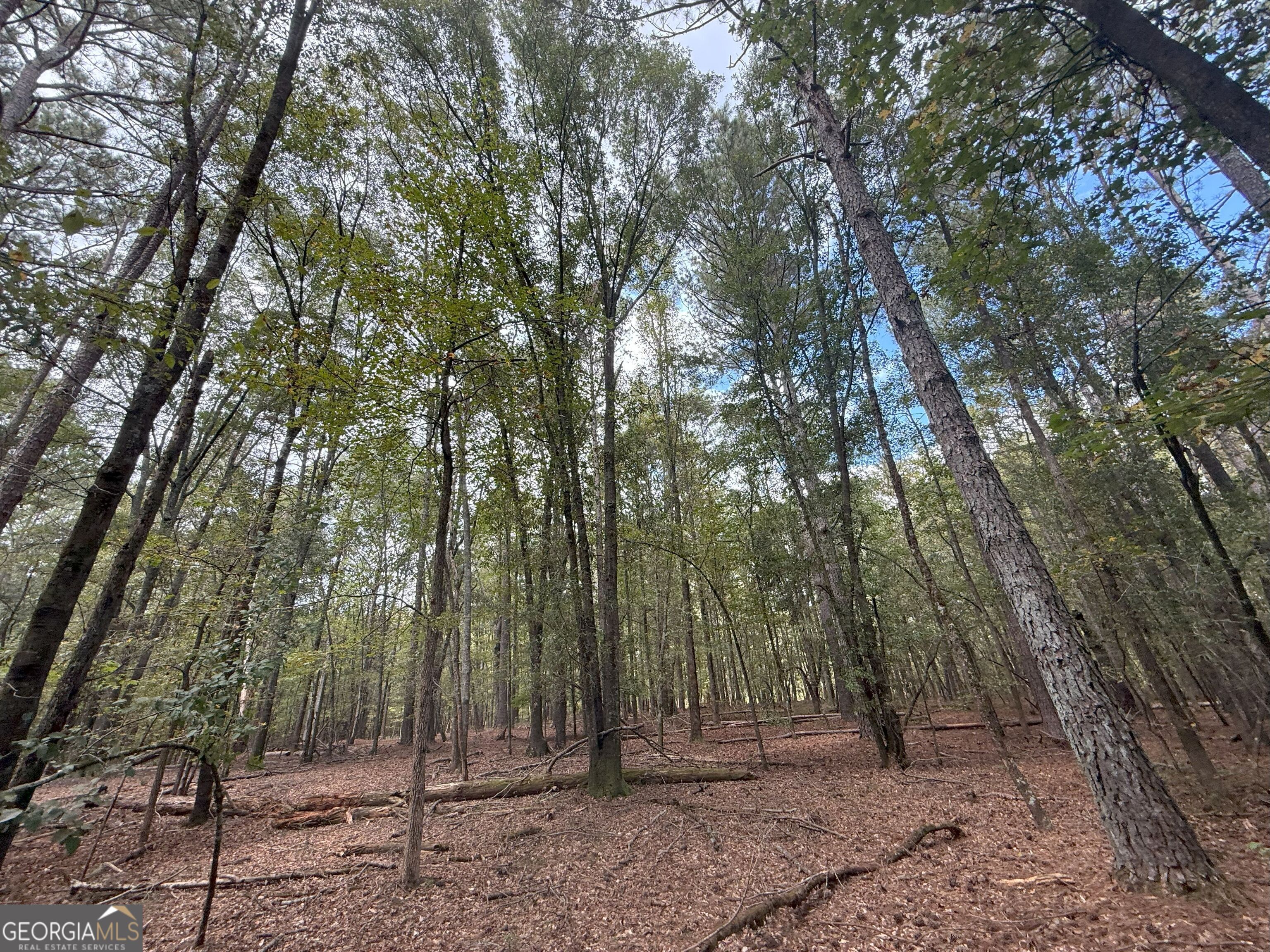 9992 Jefferson River RD